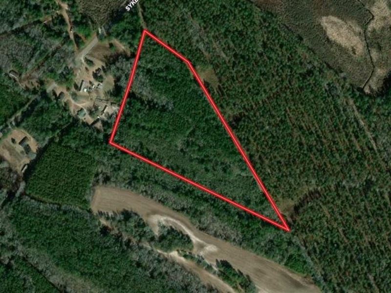 16 Acres of Land : Currie : Pender County : North Carolina
