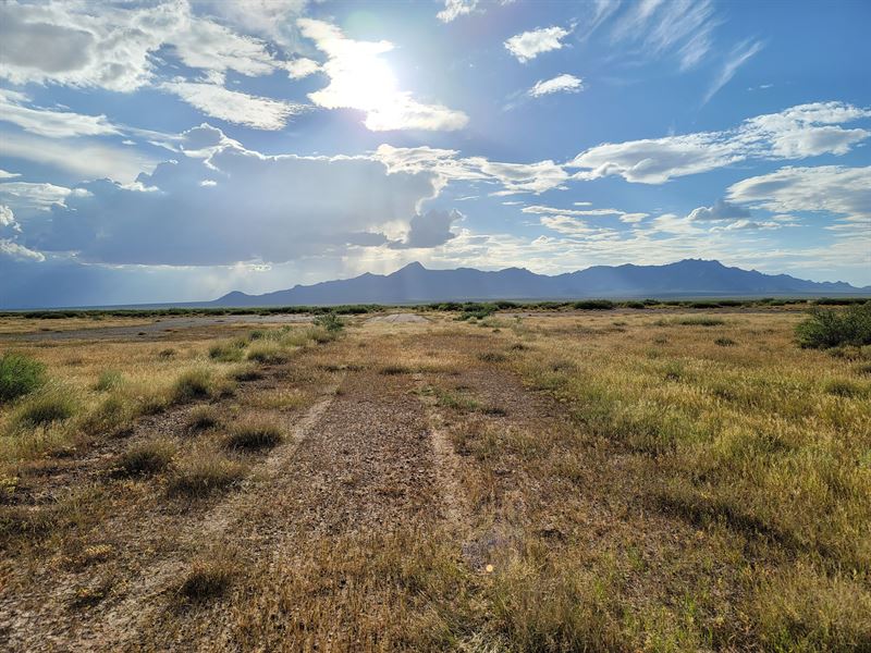 1 Acre Low Budget Deal Only $99 : Deming : Luna County : New Mexico