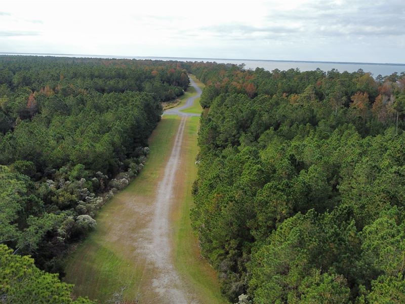 Coastal Equine Property for Sale : Beaufort : Carteret County : North Carolina