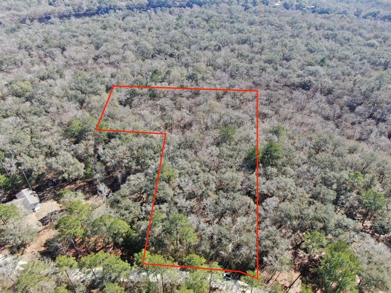Beautiful 3.55 Acre Lot Near The HI : Branford : Lafayette County : Florida