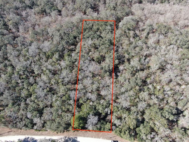 Beautiful 2.61 Acre Lot Near The HI : Branford : Lafayette County : Florida
