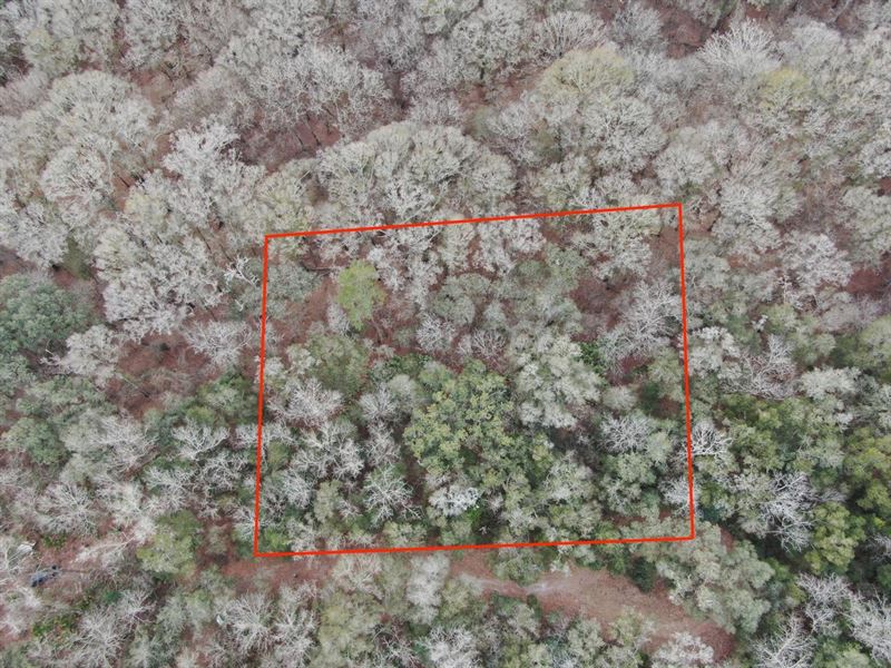 Beautiful 2.56 Acres Near The Histo : Mayo : Lafayette County : Florida