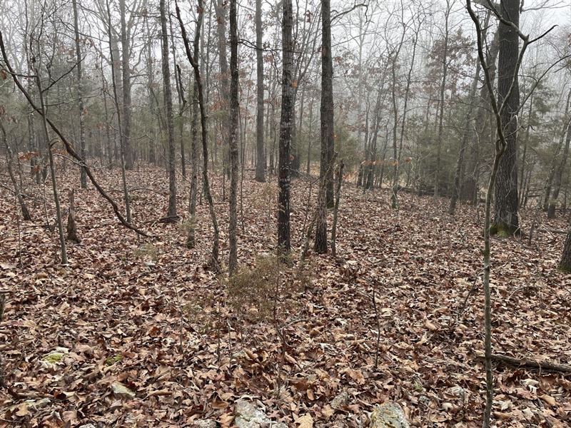 Half Acre Lot in Horseshoe Bend : Horseshoe Bend : Izard County : Arkansas