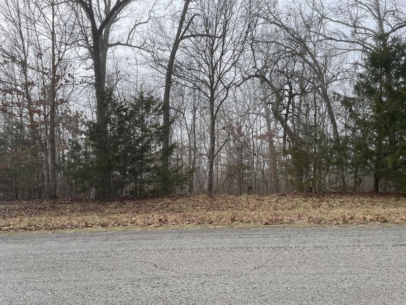 Half Acre Lot in Horseshoe Bend : Horseshoe Bend : Izard County : Arkansas