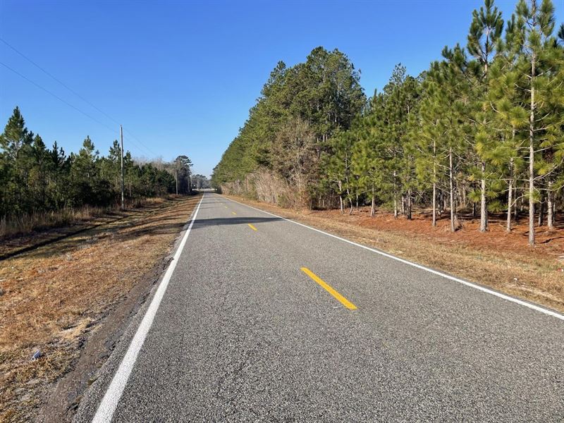 17.25 Acres in Pierce County-Tract : Blackshear : Pierce County : Georgia