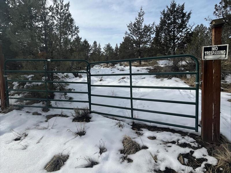 6.04 Acres Zoned Residential : Bonanza : Klamath County : Oregon