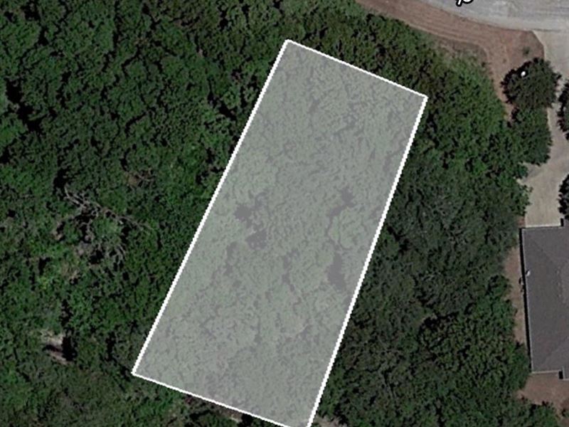 .33 Acre in Whitney, Dollar Special : Whitney : Hill County : Texas