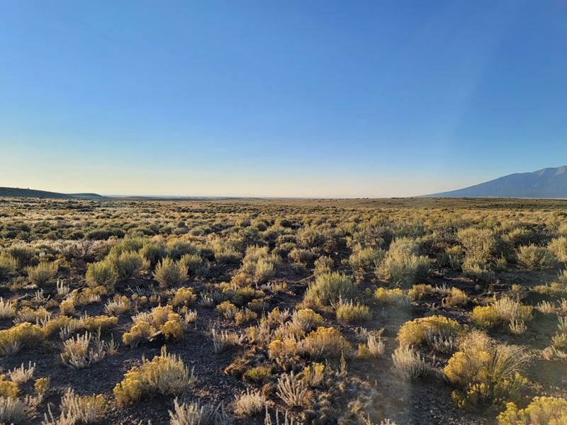 5 Acres in The Colorado Mountains : San Luis : Costilla County : Colorado