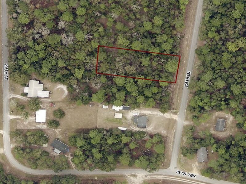 Mobile Home Friendly Half Acre : Live Oak : Suwannee County : Florida