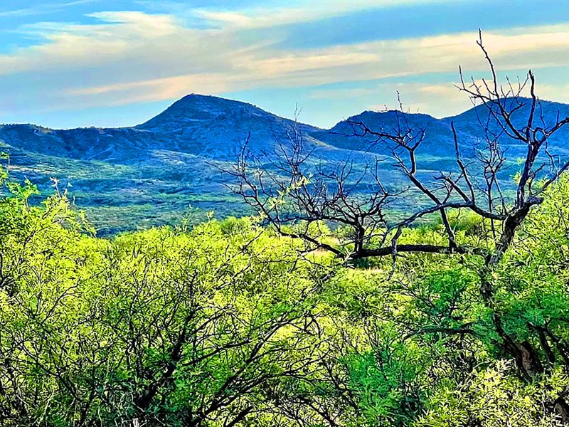 20 of 40 Avail, Farm, Live, Mtns : Willcox : Cochise County : Arizona