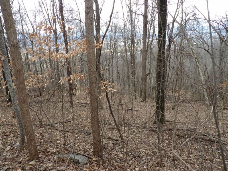 Level Spots to Build, Private : Pikeville : Bledsoe County : Tennessee