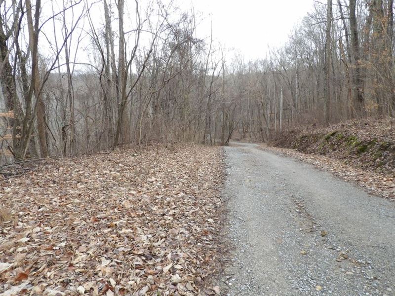 Private But Convenient : Pikeville : Bledsoe County : Tennessee