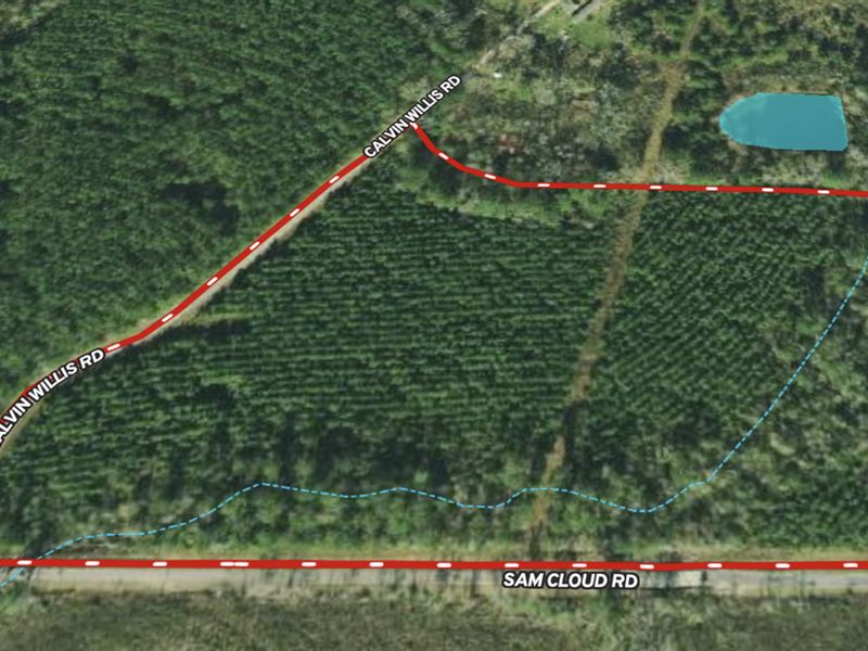 Sam Cloud Road Tract, Allen Parish : Elizabeth : Allen Parish : Louisiana