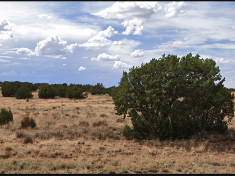 Build Your Home Here, $125/Month : Concho : Apache County : Arizona