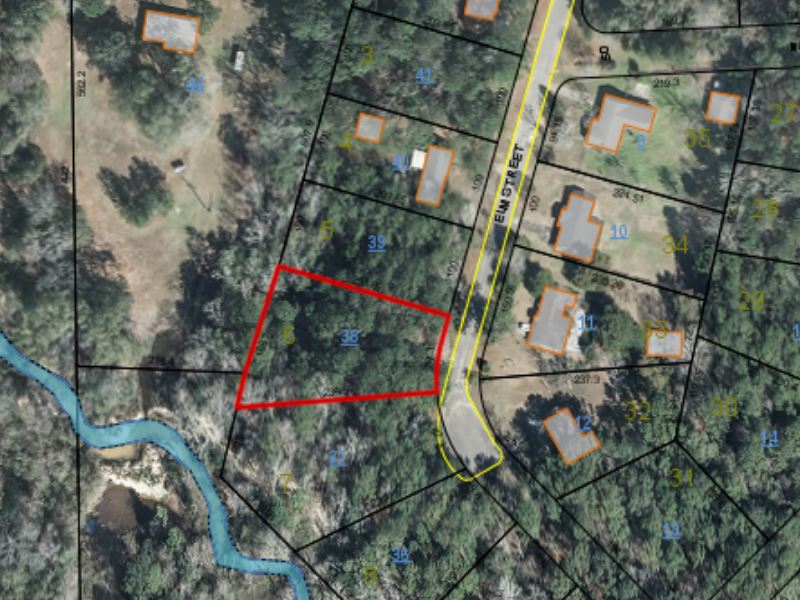 Beautiful Lot with Privacy Settings : Elba : Coffee County : Alabama