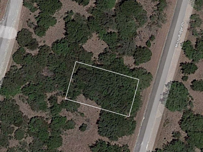 .13 Acre Lot in White Bluff : Whitney : Hill County : Texas