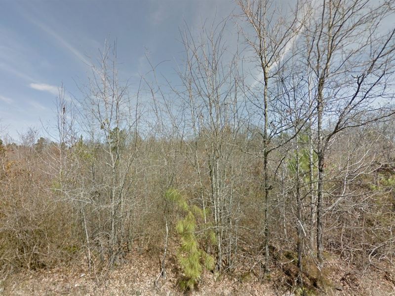 Owner Financed Land for Sale : Pine Bluff : Jefferson County : Arkansas