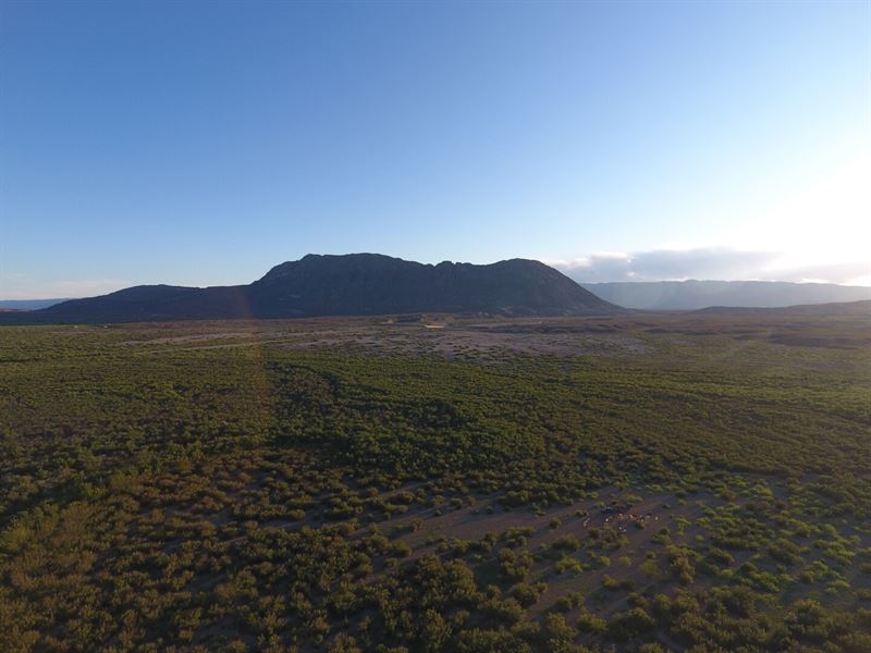 Owner Financed Land in Texas : Marfa : Presidio County : Texas