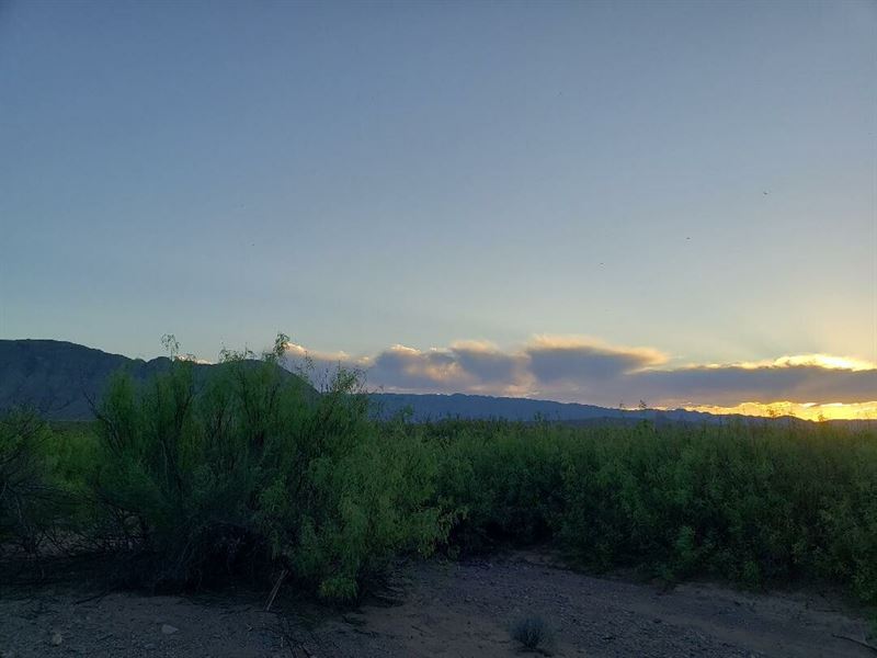 Owner Financed Land in Texas : Marfa : Presidio County : Texas