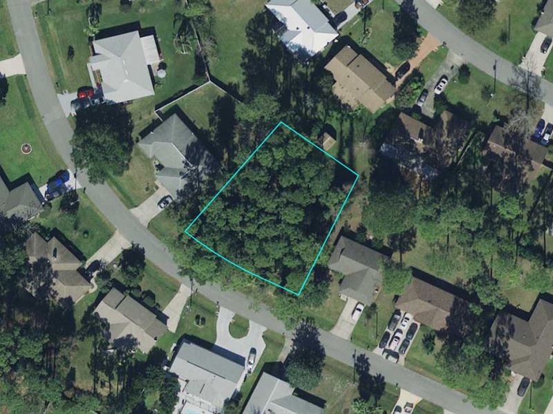Indian Trails Comps at $65K : Palm Coast : Flagler County : Florida