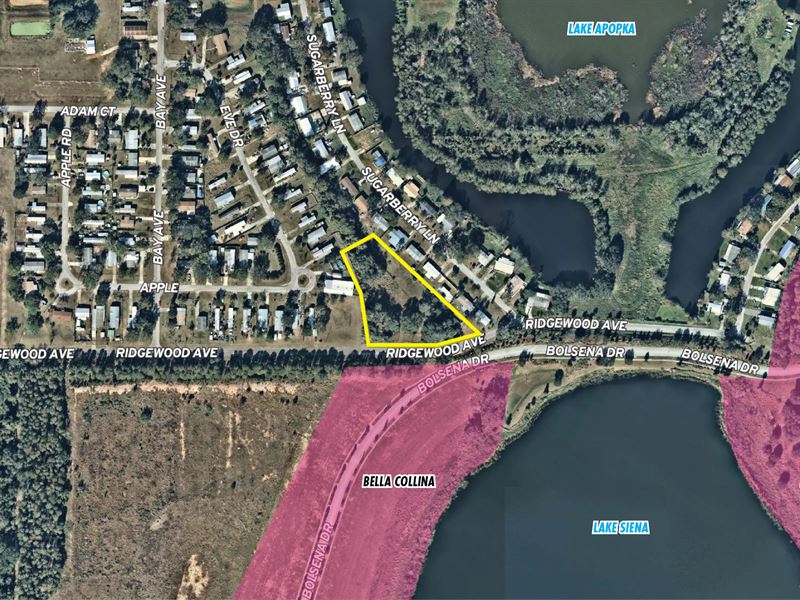 Residential Near Lake Apopka : Montverde : Lake County : Florida