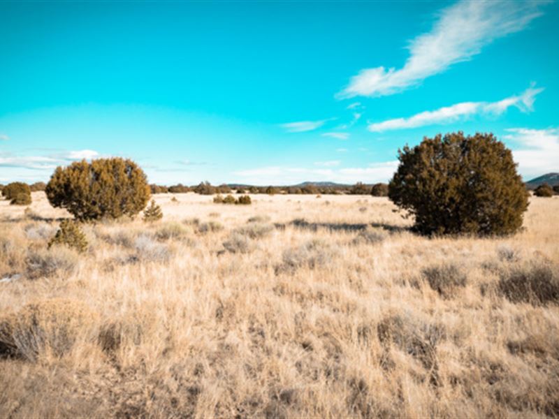 Head on Over to Green Land : Ramah : Cibola County : New Mexico