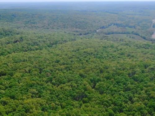 Owner Financed Land in MO : Camdenton : Hickory County : Missouri