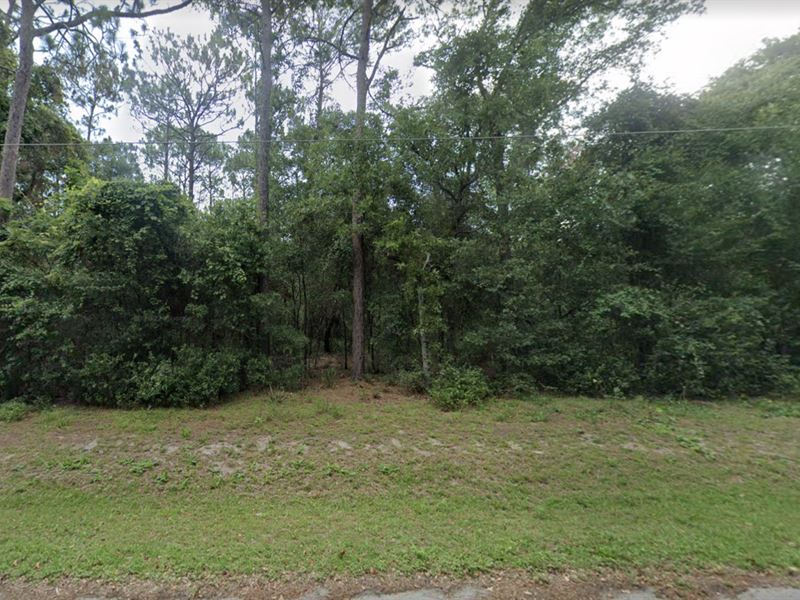 .28 Acre for Sale in Ocklawaha, FL : Ocklawaha : Marion County : Florida