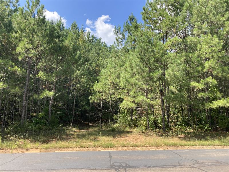 Multiple Lots with Sewer : Elberton : Elbert County : Georgia