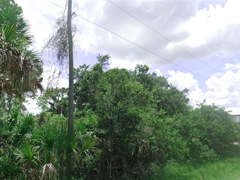 Beautiful Residential City Land : Port Charlotte : Charlotte County : Florida