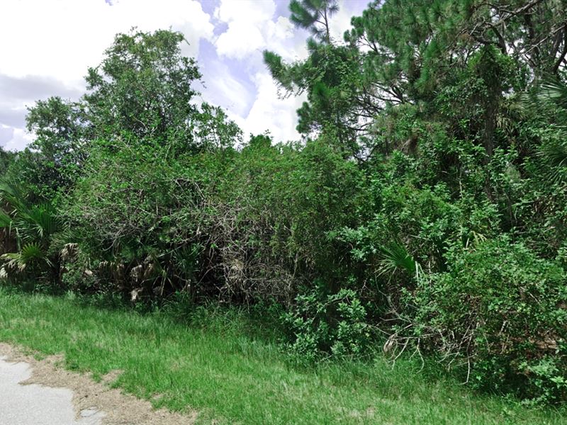 Residential Lot, Power Near City : Port Charlotte : Charlotte County : Florida