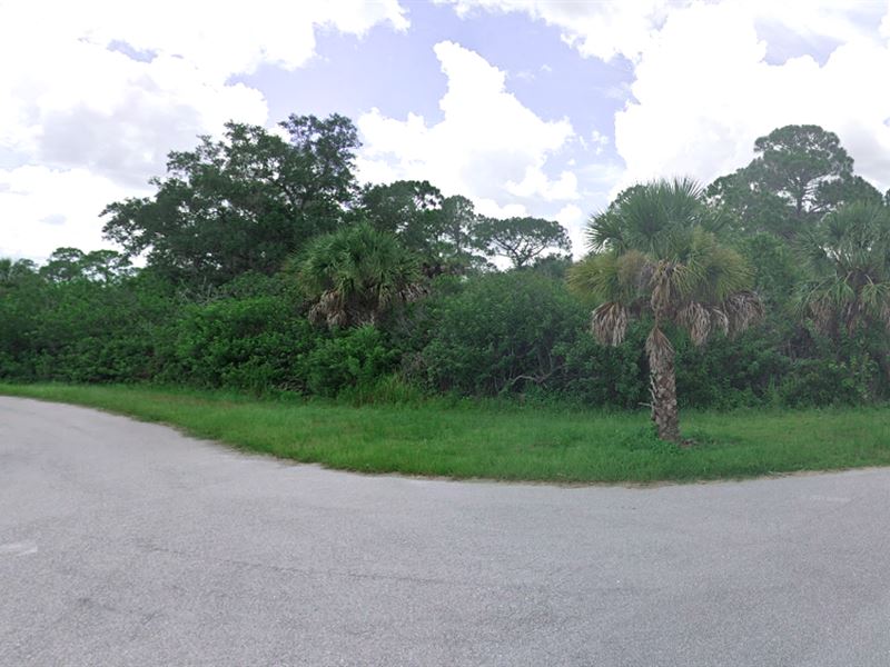 Beautiful Treed City Lot Near River : Orlando : Charlotte County : Florida
