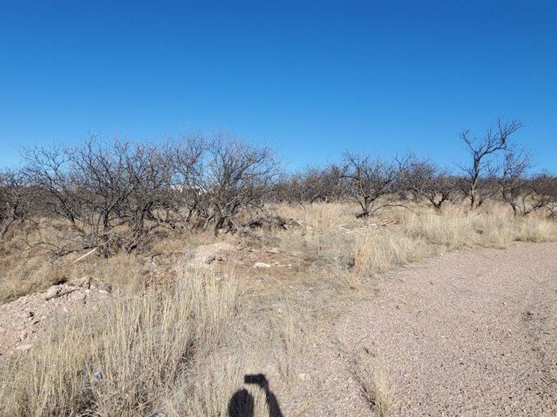 Lot on The West Side of 1-19 : Rio Rico : Santa Cruz County : Arizona