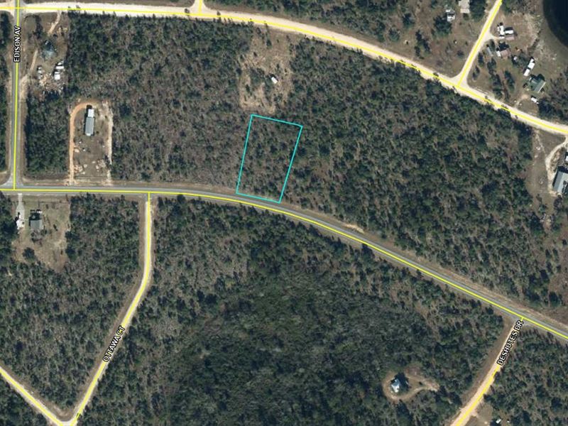 Just Listed Equestrian Friendly Lot : Marianna : Jackson County : Florida