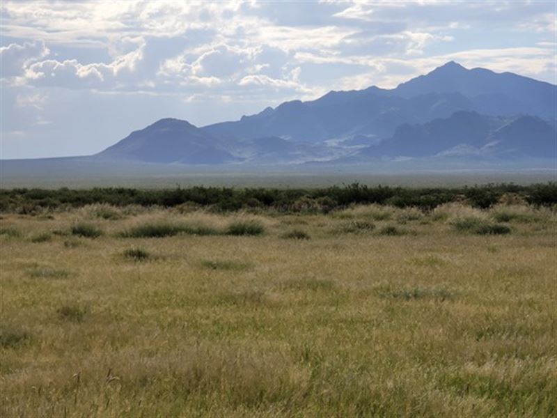 Rewarding 0.5 Acre Only $75/Mo : Deming : Luna County : New Mexico