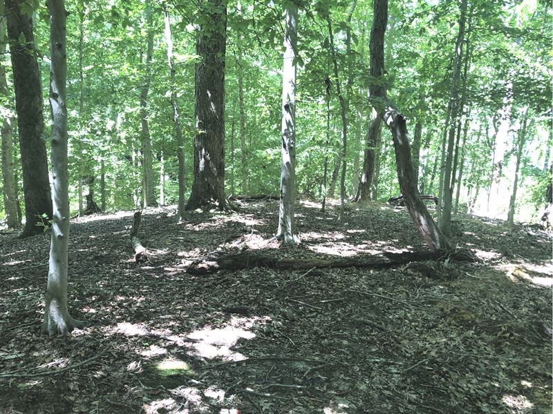 Reduced 0.54 Ac Near Solomon's & DC : Lusby : Calvert County : Maryland