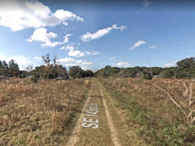 .22 Acre in Summerfield, FL : Summerfield : Marion County : Florida