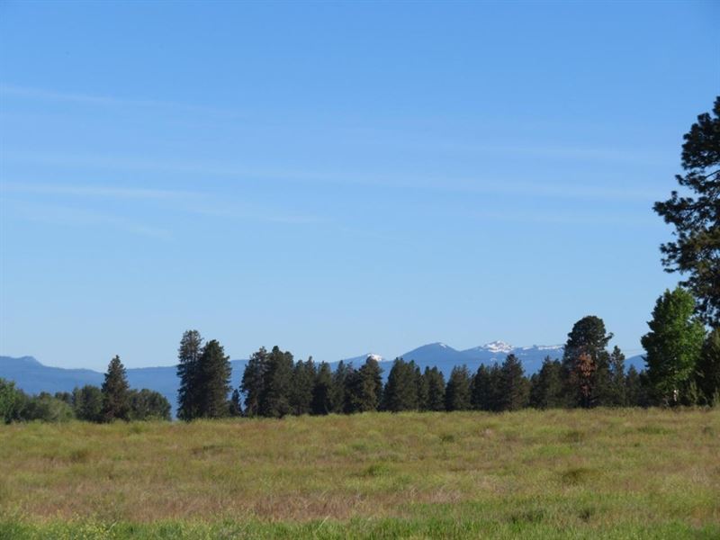 Wide Open Spaces with Views : Chiloquin : Klamath County : Oregon