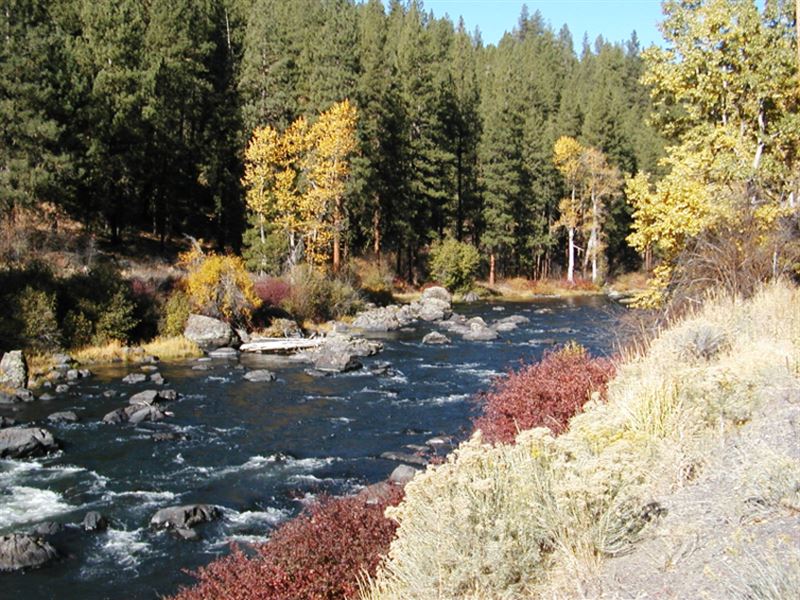 Beautiful Camping Land, Near River : Klamath Falls : Klamath County : Oregon