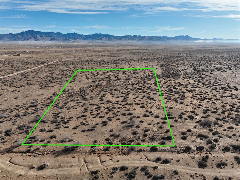 Desert Acreage Near Cottonwood Rd : Kingman : Mohave County : Arizona