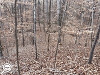 Lot with Rural-Like Setting : Woodruff : Spartanburg County : South Carolina