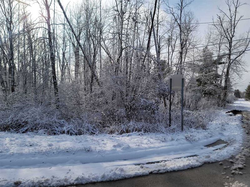 2 Acres in Tawas City, MI : Tawas City : Arenac County : Michigan