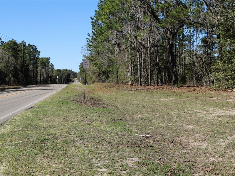 2.49 AC on Busy CR 315, C-196 : Interlachen : Putnam County : Florida