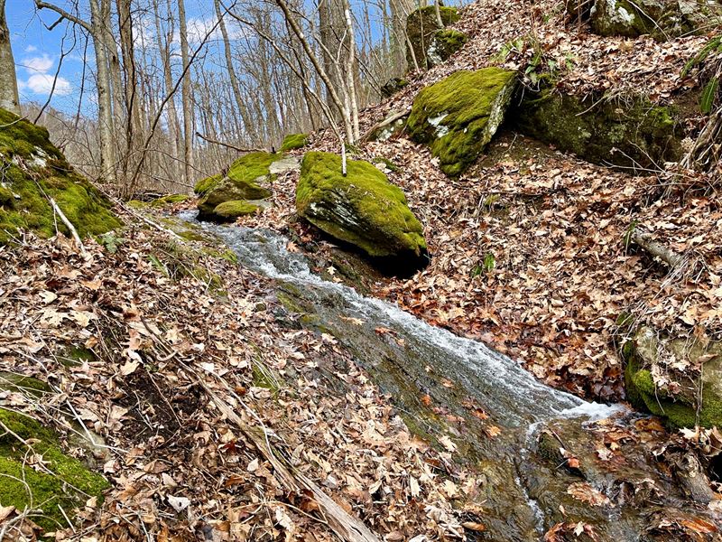 Creek Retreat Tract : Bent Mountain : Franklin County : Virginia