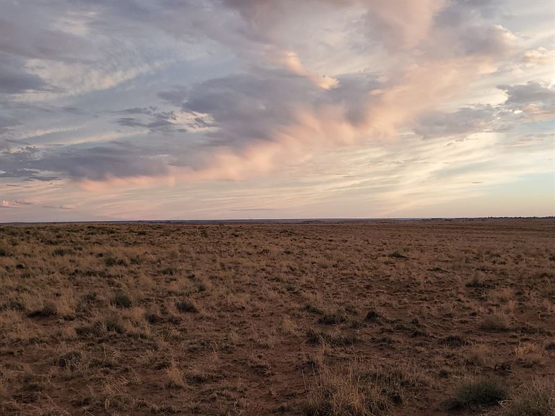 2.5 Acres Lot in A Sunny Location : Holbrook : Navajo County : Arizona