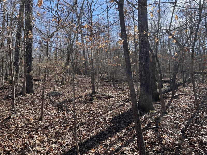 1 Lot in Horseshoe Bend, Arkansas : Horseshoe Bend : Izard County : Arkansas