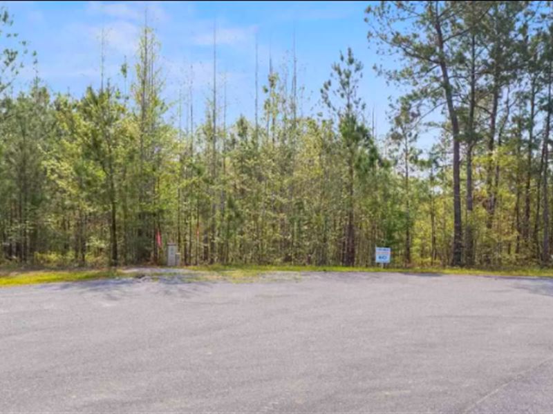 Waterfront Land : Sylacauga : Talladega County : Alabama