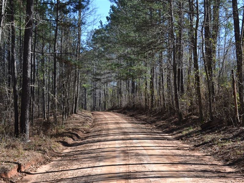Plum Road Tract : Dry Branch : Twiggs County : Georgia