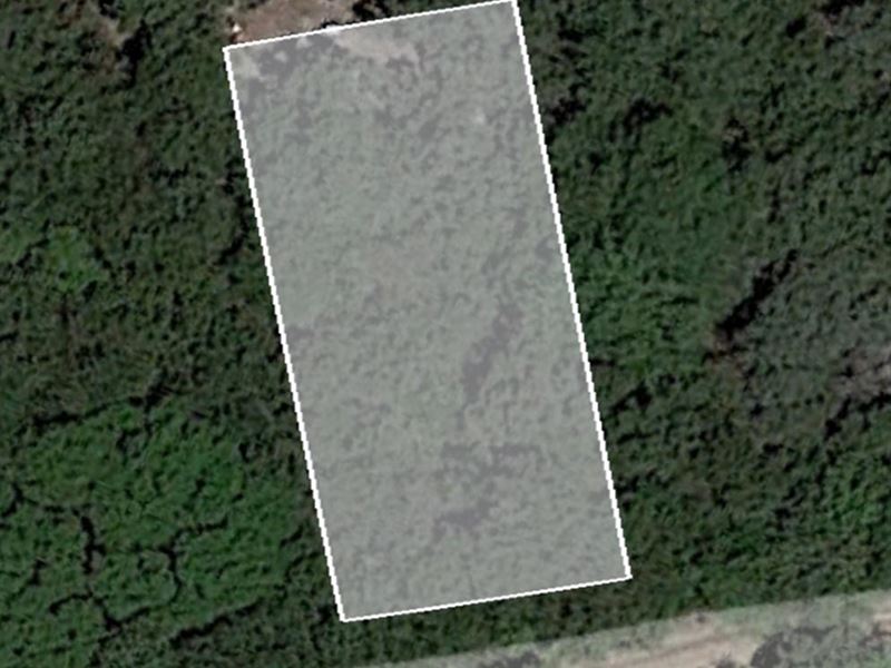 Neighborless 0.11 Ac Lot in Whitney : Whitney : Hill County : Texas