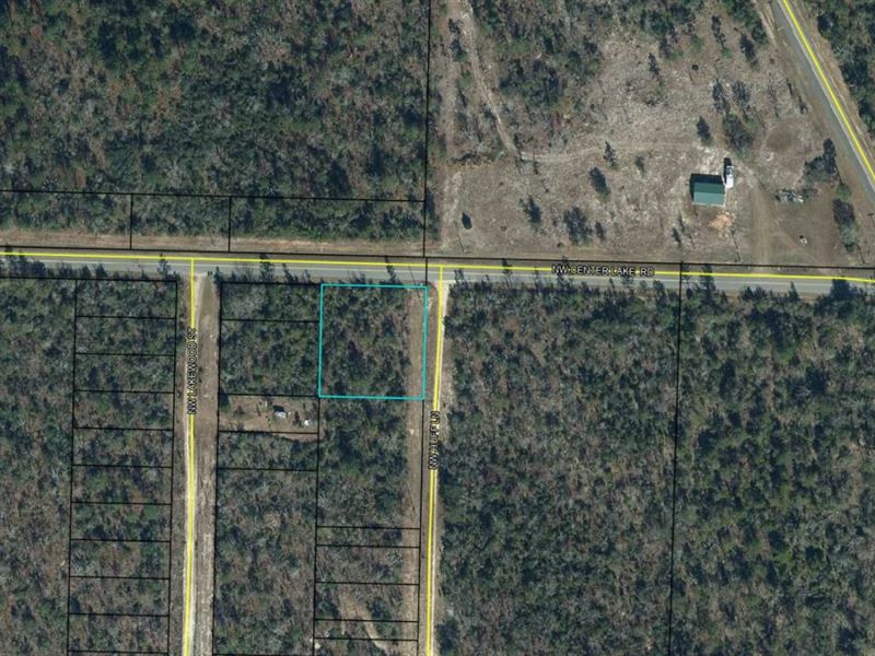 .47 Acre for Sale in Altha, FL : Altha : Calhoun County : Florida